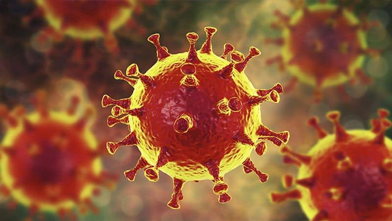 Coronavirus US turning blind eye to contagious new virus variant, warn scientists