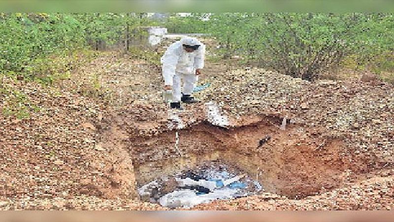 Over 1700 migratory birds found dead under mysterious circumstances at Pong Dam sanctuary in Himachal pod