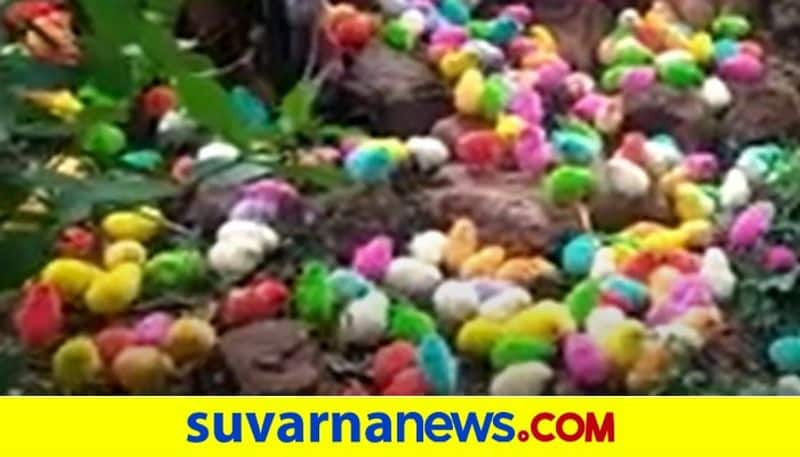 Chicks Abandoned At Male Mahadeshwara Forest hls