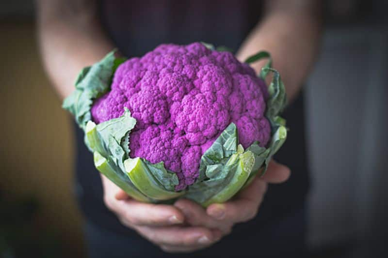 cauliflower how to grow