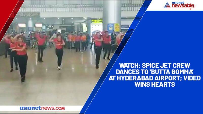 Watch Spice Jet crew dances to 'Butta Bomma' at Hyderabad airport; video wins hearts-tgy