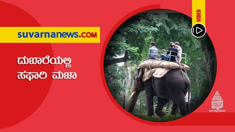 Elephant Safari in  Kodagu Dubare hls