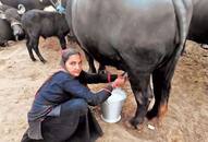 Gujarat 62-year-old sells milk worth Rs 1 crore, employs 15 people