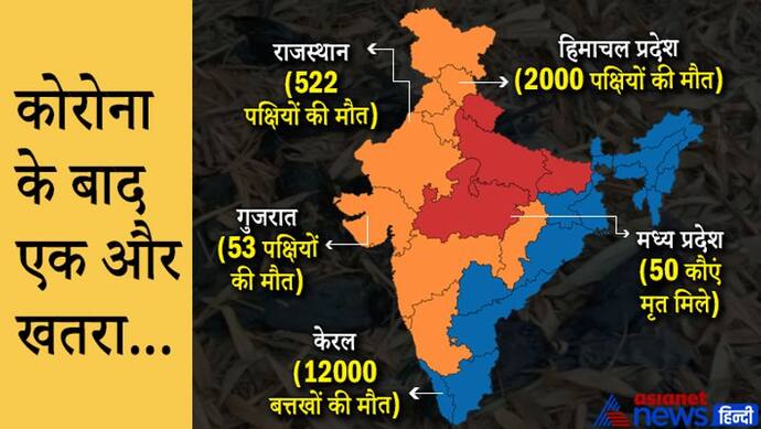 5 राज्यों में बर्ड फ्लू का खतरा, कहीं 12,000 तो कहीं 2000 पक्षियों की मौत, जानें इंसानों पर क्या असर पड़ेगा?