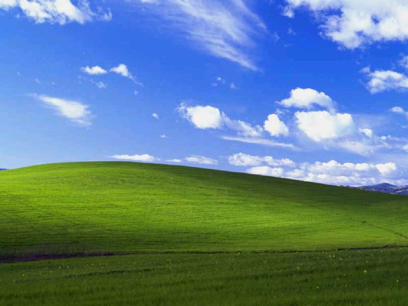 Microsoft Paid This Much To Windows XPs Iconic Wallpaper vvk