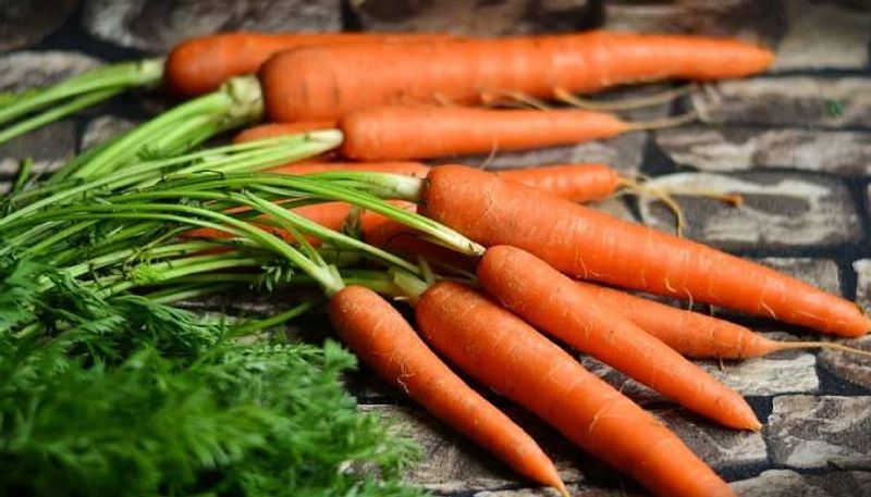 carrot diseases how to prevent