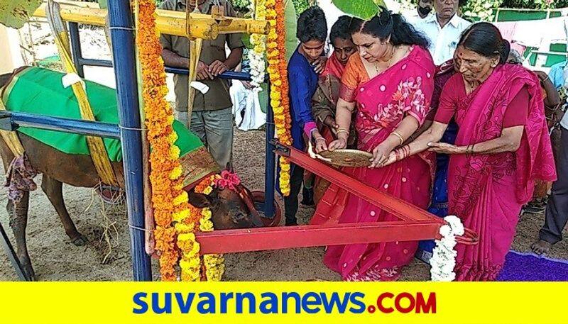 Udupi District trust baby shower to Cow at Manipal rbj