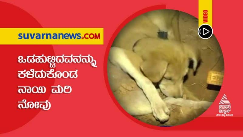 Coorg Puppy Sentiment Leaves Locals Teary Eyed vcs