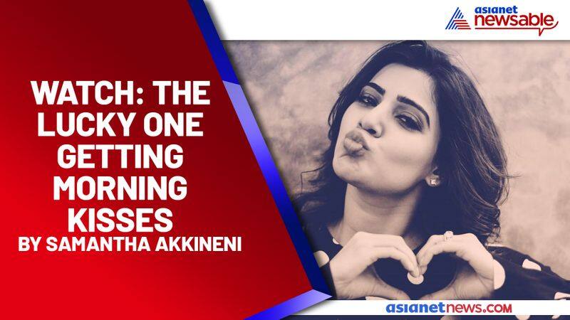 Samantha Akkineni gives her morning kisses to this lucky one: Check out the adorable video - gps