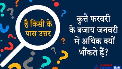 कहते हैं कि जो डॉग्स भौंकते बहुत हैं, वे काटते नहीं, लेकिन ये फरवरी में कम भौंकते हैं, इस सवाल का जवाब है?