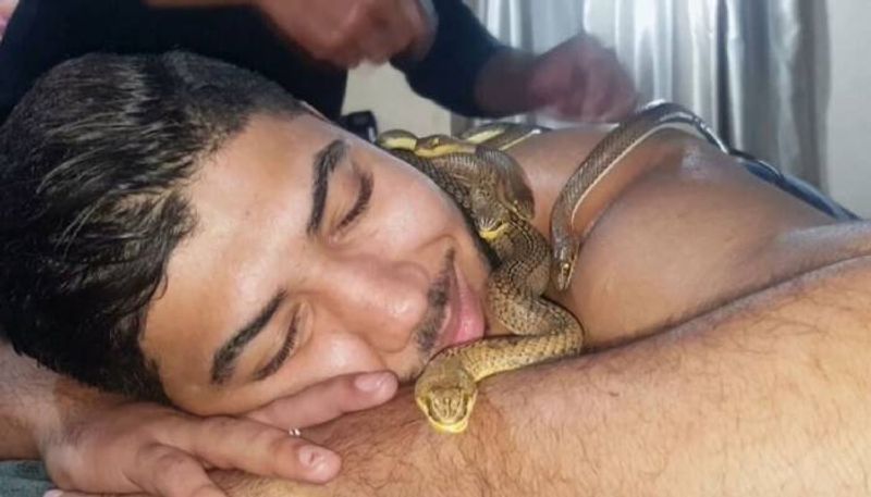 snake massage offered in an Egyptian spa