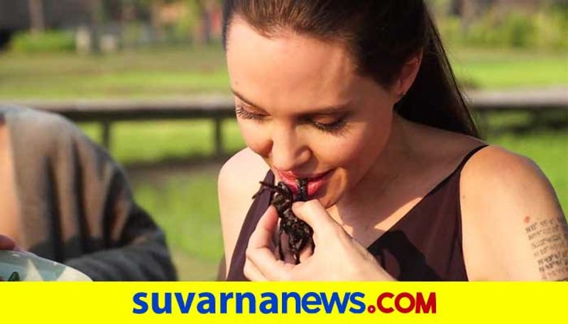 Angelina Jolie eats bugs spiders which are alive