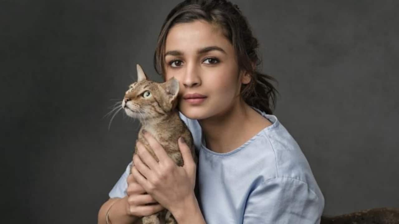 <p>Filmmaker Karan Johar launched Alia Bhatt, and then the rest is history. She did many notable films like Highway, Gully Boy, Raazi,&nbsp;Udta Punjab showed her talent and was praised for her performances.&nbsp;</p>
