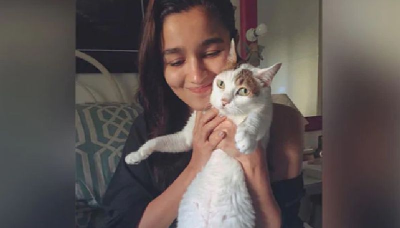 alia bhatt shares picture of her pet cat who died recently