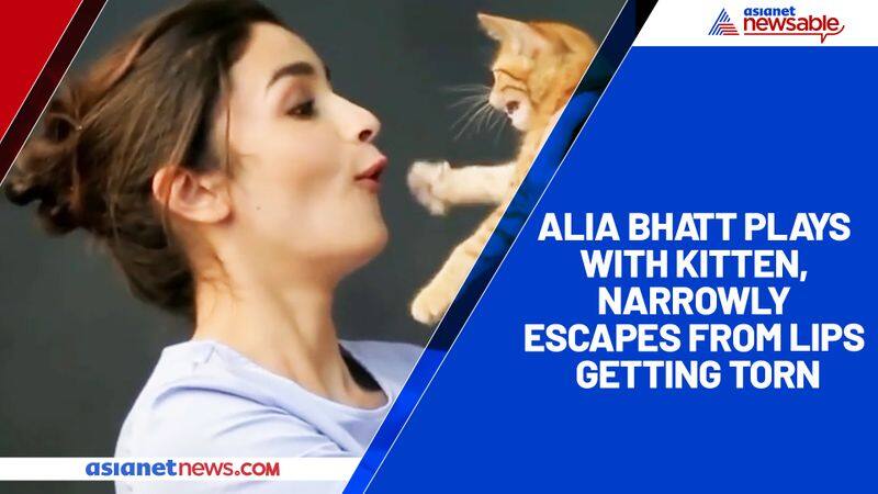 Alia Bhatt plays with kitten, narrowly escapes from lips getting torn-ycb