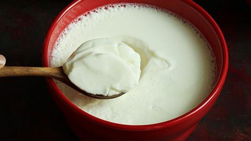 Who Should Not Eat Curd: Exploring the Potential Side Effects of Curd rsl