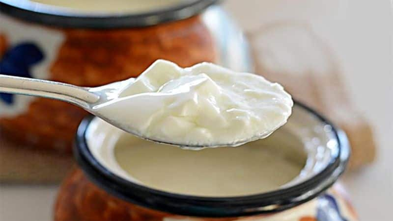 Amazing health benefits of curd and why you consume it every day-dnm