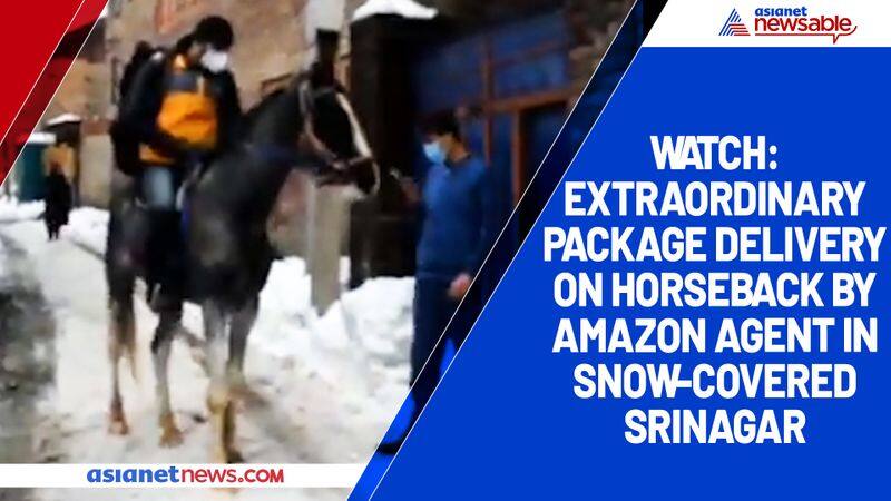 Watch Extraordinary package delivery on horseback by Amazon agent in snow-covered Srinagar-tgy