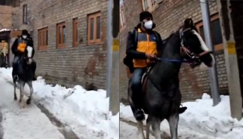 video in which amazon deliver boy arrives on horseback