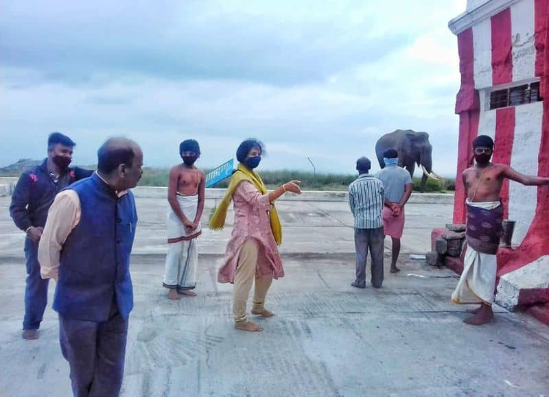 Wild elephant visits chamarajnagar temple after 3 years dpl