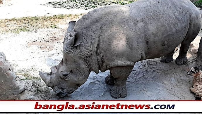 শরীর জুড়ে যৌবন জ্বালা, চাই একটা পুরুষ - হতাশায় ডুবে যাচ্ছে বাংলাদেশের কাঞ্চি