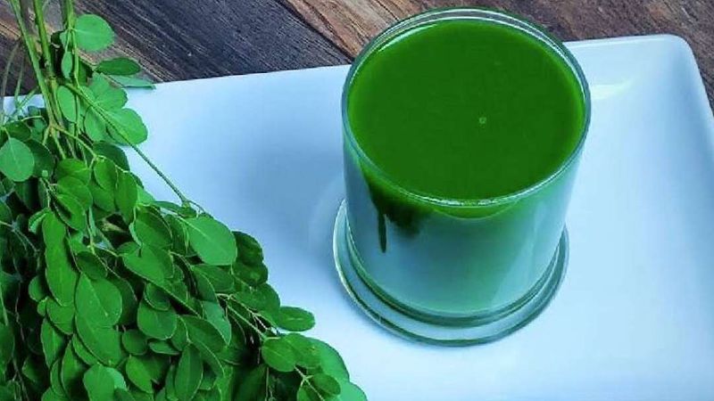 how to prepare moringa powder at home and know its benefits too 