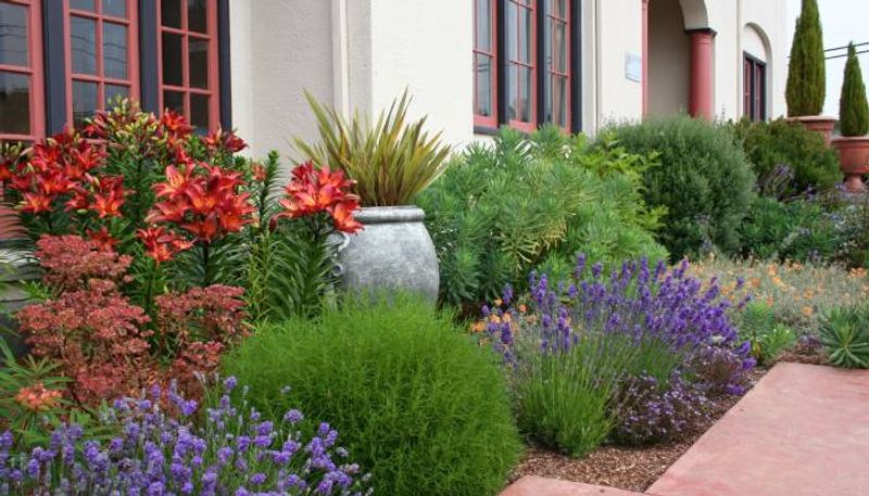 Mediterranean style garden in home