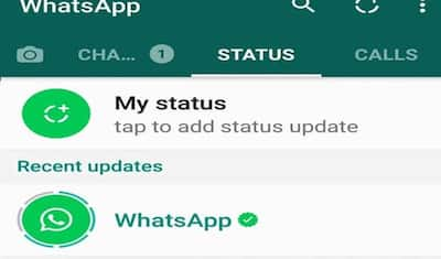 जब WhatsApp का कोई नंबर नहीं, तो आखिर बिना सेव किये कैसे दिखाई दिया स्टेटस?