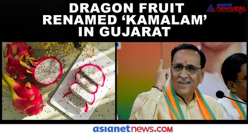 dragon fruit renamed kamalam gujarat cm vijay rupani