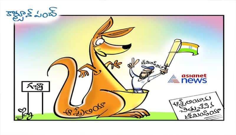 cartoon punch... Team india grand victory against australia