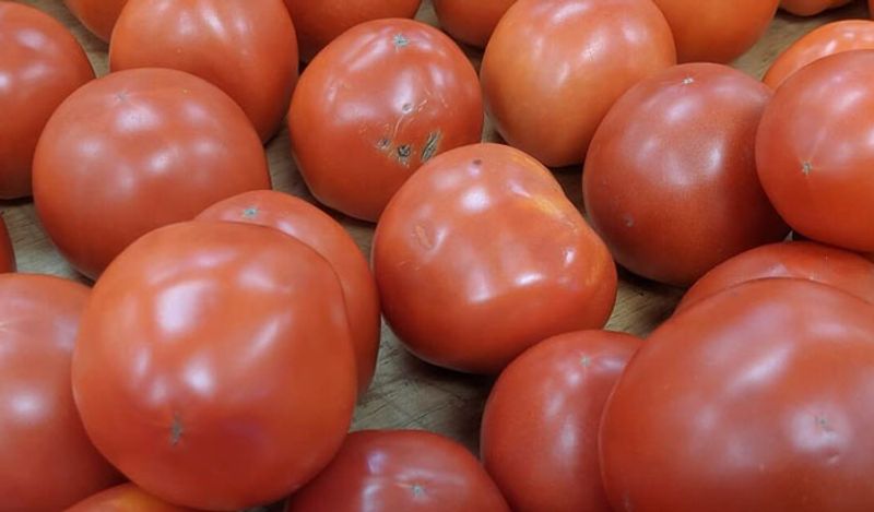 Tomato Prices Rise in Bengaluru grg