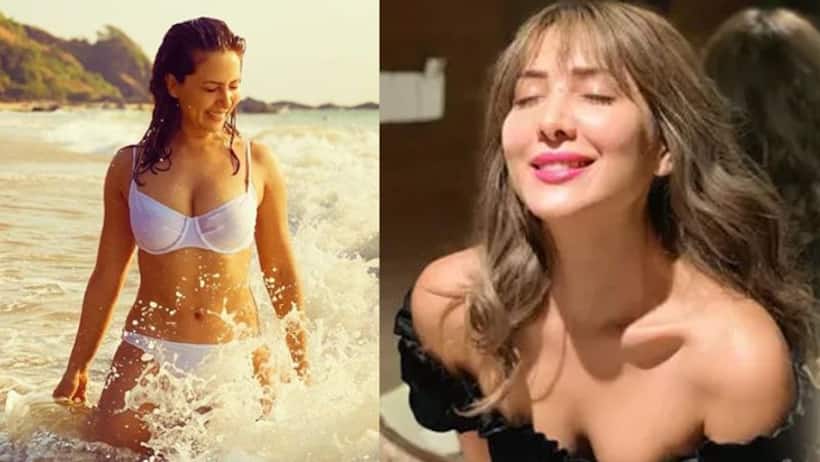 Kim Sharma, Leander Paes take pet dog for a walk, netizens ask 'Please mention who's the dog??'