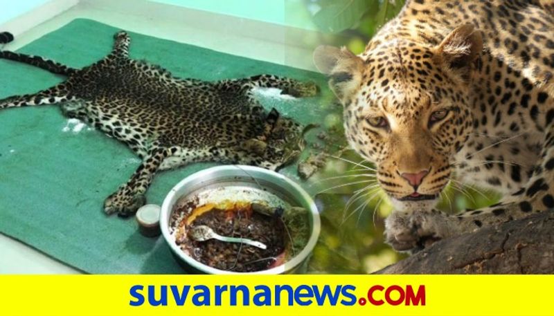 5 men arrested for killing leopard and consuming its meat in Kerala dpl