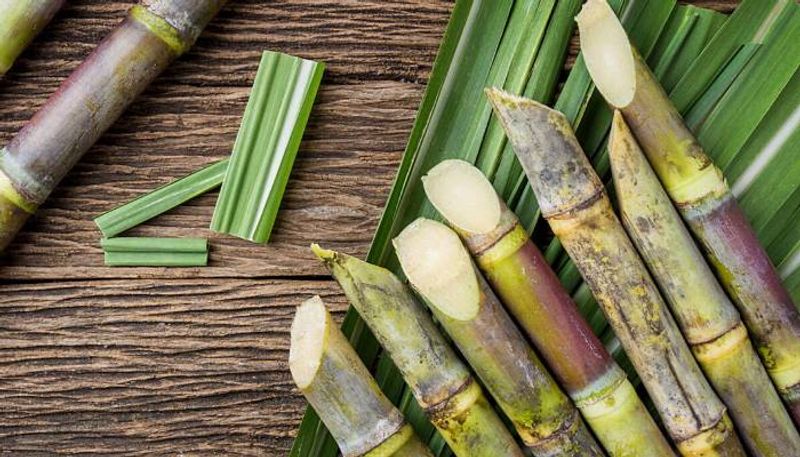 Sugarcane Farming tips