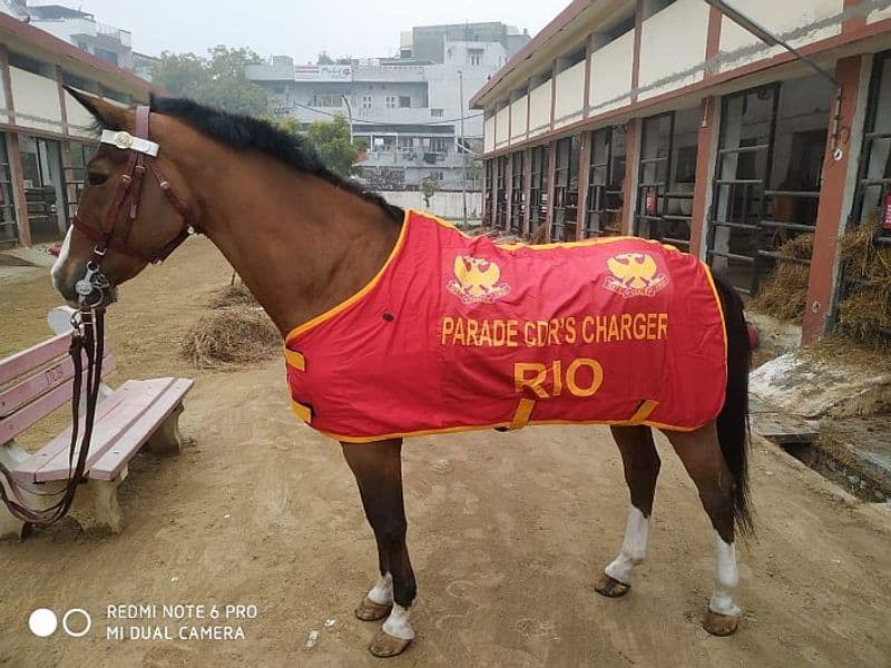 Republic Day 2021: 18th parade for 61st Cavalry Rio-VPN