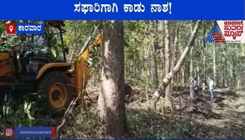 Tree Cutting For Safari in Kali Tiger Reserve Dandeli Uttara Kannada mah