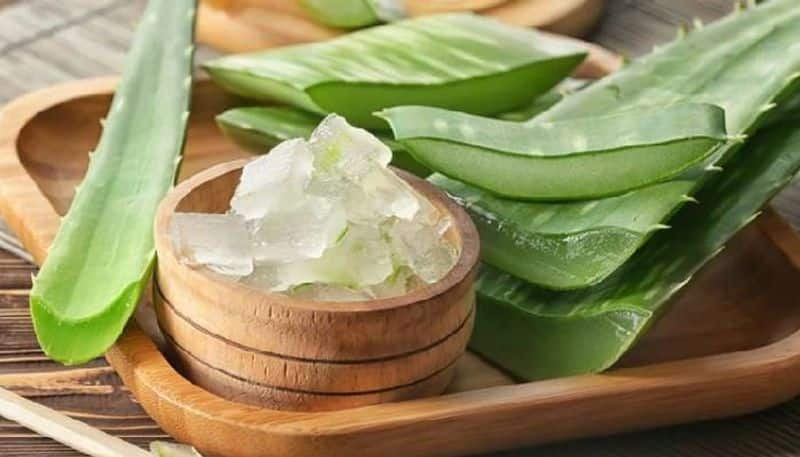  Aloe vera oil benefits for hair rsl