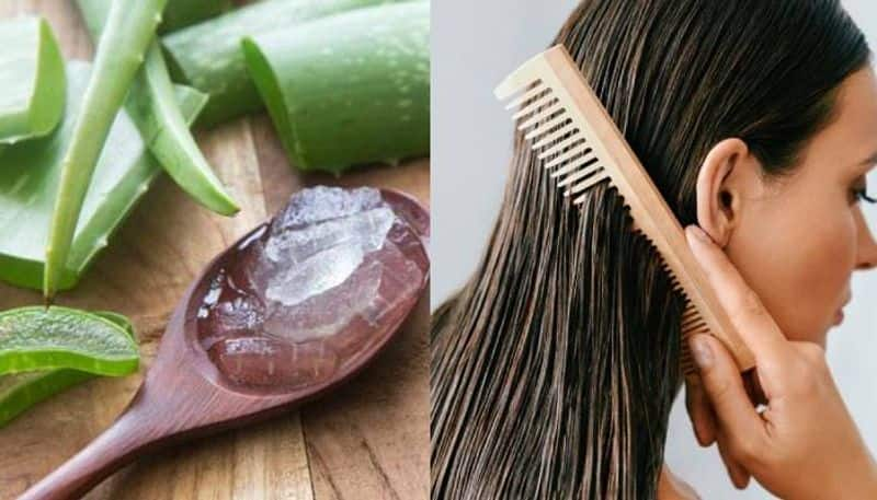 5 DIY easy to prepare aloe vera hair masks to boost hair growth gcw