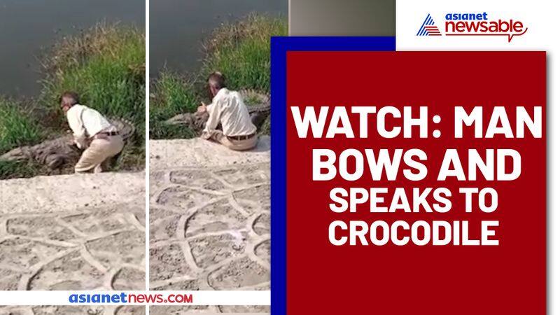 Viral video: Man speaks to crocodile by riverside - gps