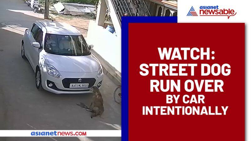 Retired Karnataka cop accused of running over dog in Bengaluru, CCTV footage goes viral - gps