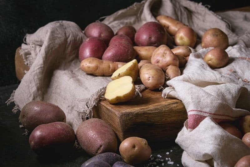 variety of potato you can grow in greenhouse