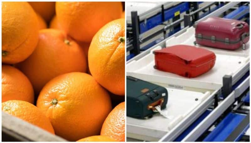 youth eats 30 kg orange to save extra baggage fee ends in hospital in airport