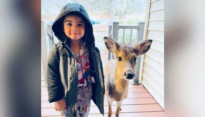 4-Year-Old Goes Out To Play, Comes Back With Baby Deer