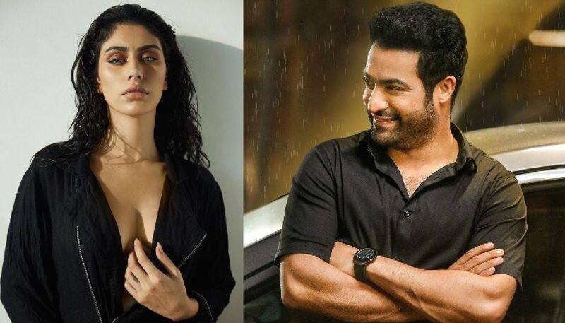 ntr romance with bollywood beauty warina hussian in trivikram movie arj