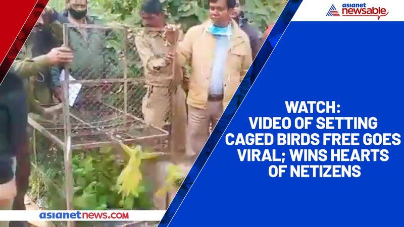 Watch Video of setting caged birds free goes viral; wins hearts of netizens-tgy