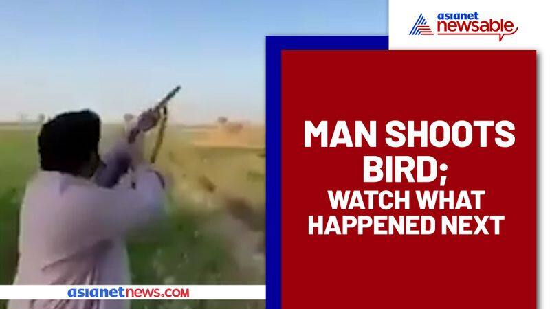 Man shoots a bird, tastes the fruit of Karma; Watch video - gps