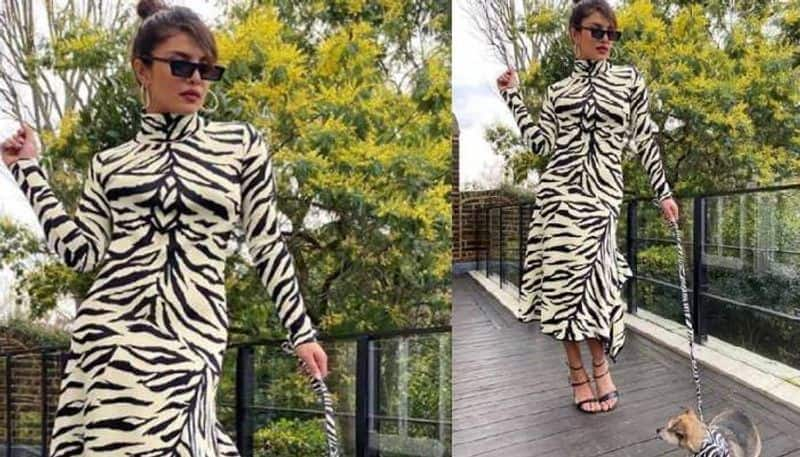 Priyanka Chopra in White Tiger look