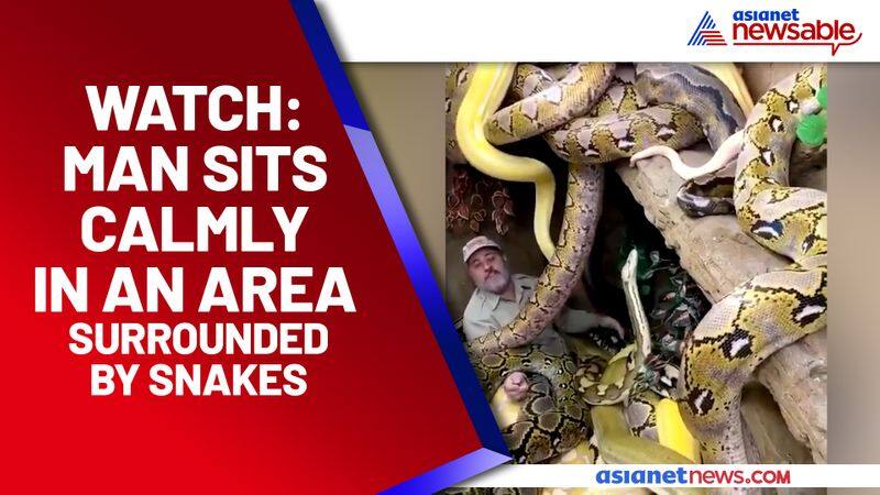 A man sits in an area surrounded by snakes; terrifying video goes viral - gps