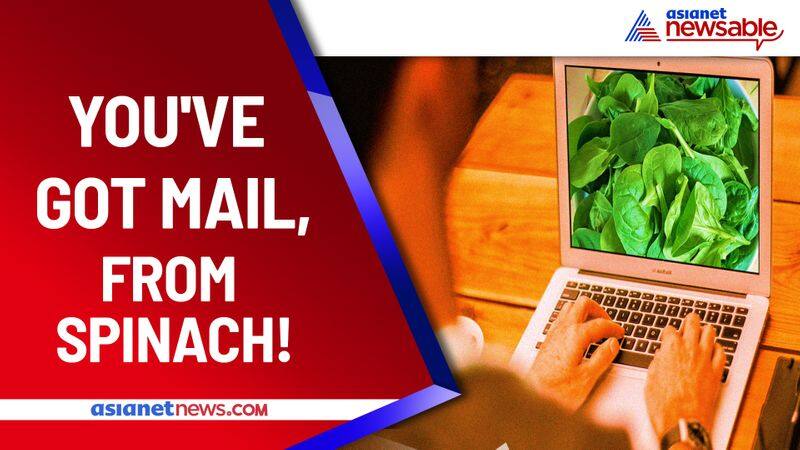 science technology MIT teach spinach to send emails to fight climate change