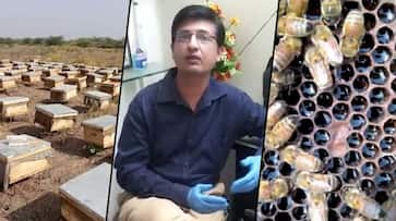 Success story of how a chartered accountant left his job to take up honey business